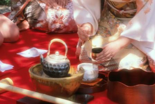 Japanese Tea Ceremony Morikami Museum Florida
